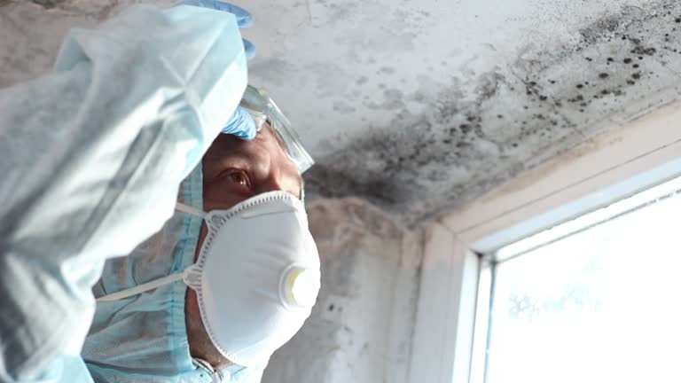 Professional Mold Removal in Lake Cherokee, TX